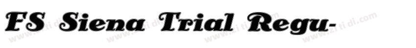 FS Siena Trial Regu字体转换